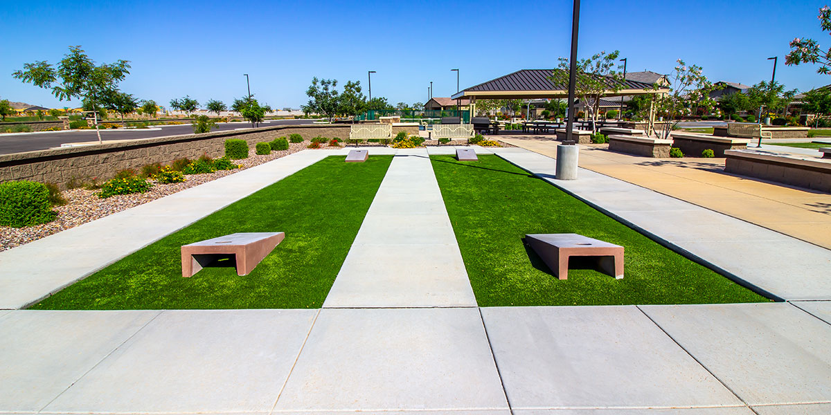 decorative grass for landscaping